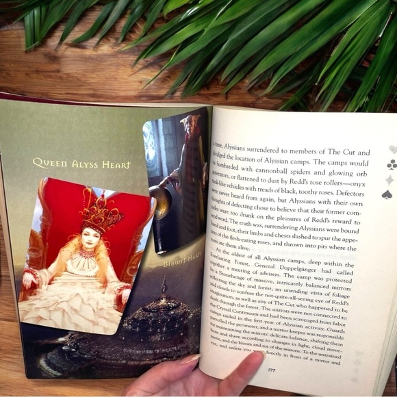 The Looking Glass Wars by Frank Beddor – Paperback - Picture 5 of 7